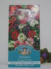 Verbena Compact Mixed