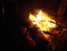 DSC04824
