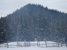 DSC04835