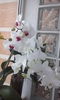 CAM00433