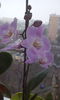 CAM00447