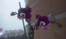 CAM00451