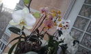 CAM00454
