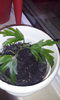 CAM00461