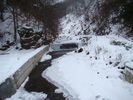 DSC04920