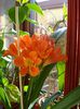 inceput de martie (3)