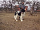 CAM04409