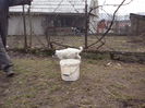 CAM04458