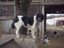 CAM04470