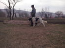 CAM04509