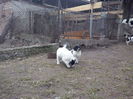 CAM04516