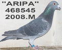 08.468545.08.m AR