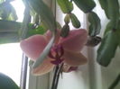 IMG_20150301_171440