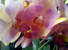 IMG_20150308_104716