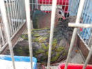 DSCN0063