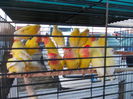 DSCN0064