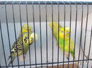 DSCN0066