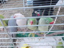DSCN0068