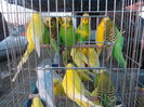 DSCN0071