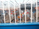 DSCN0072