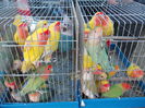 DSCN0073
