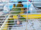 DSCN0074