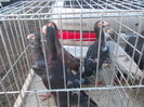DSCN0075