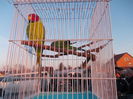 DSCN0082