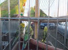 DSCN0086