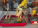 DSCN0095