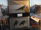 DSCN0108