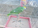 DSCN0110
