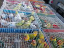 DSCN0121