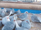 DSCN0124