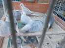 DSCN0134