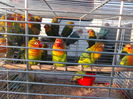 DSCN0140
