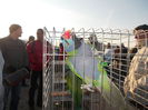 DSCN0145