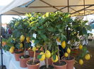 DSCN0148