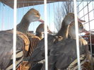 DSCN0155