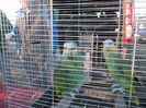 DSCN0161