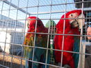 DSCN0163