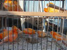 DSCN0164