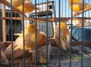 DSCN0165