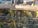 DSCN0166