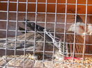DSCN0168