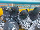 DSCN0170