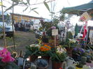 DSCN0177