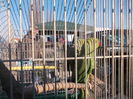DSCN0180