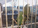 DSCN0181