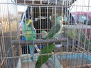 DSCN0187